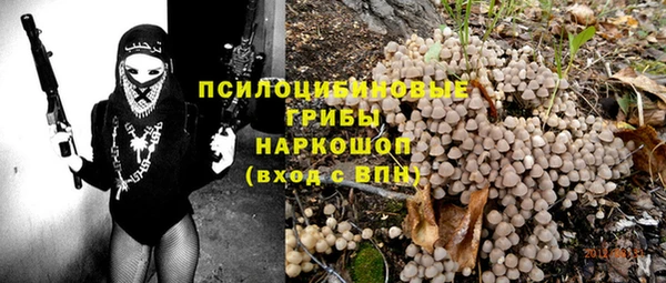 хмурый Аксай