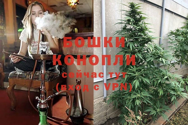 спайс Лабытнанги