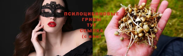 спайс Лабытнанги