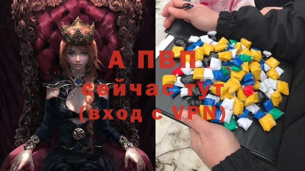 PSILOCYBIN Ладушкин
