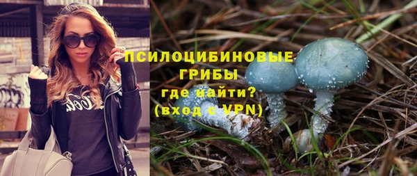 спайс Лабытнанги