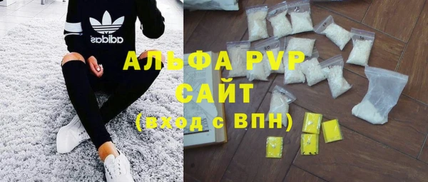 PSILOCYBIN Ладушкин