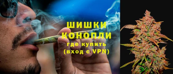 PSILOCYBIN Ладушкин