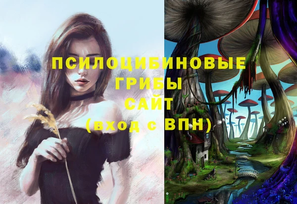 a pvp Лагань
