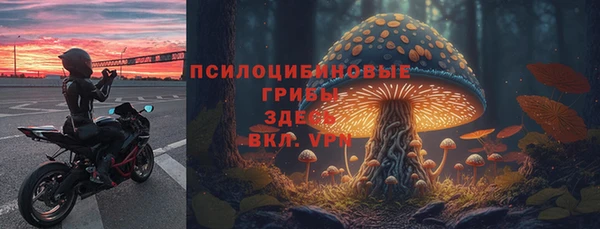 PSILOCYBIN Ладушкин